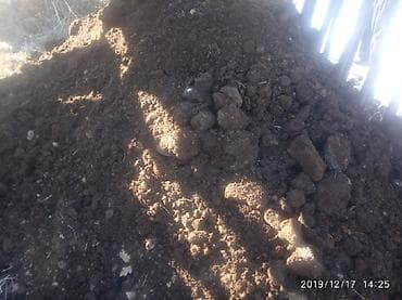 Бакча эмереги: Тонна менен, Акысыз жеткирүү, Зил — 4