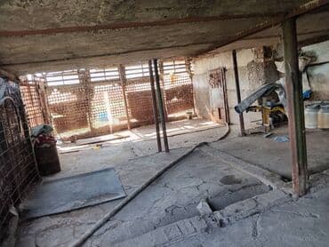 домик совхоз фрунзе: Продаю Ферма КРС, 10 соток, Действующий, Без оборудования, Электричество, Холодная вода — 9