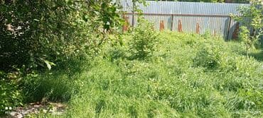 работы охраны: Уборка территории — 5