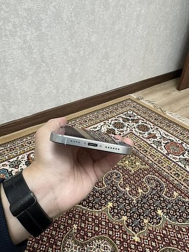 iphone 5g: IPhone 16 Pro Max, White Titanium, 95 % — 4