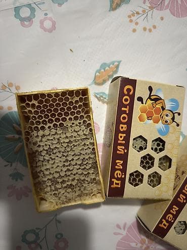 медовые соты: Сотовый мёд 🍯 — 1