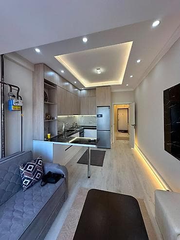 1 комната, 45 м², Джал мкр (в т.ч. Верхний, Нижний, Средний) Элитка, 11 этаж, Евроремонт — 1