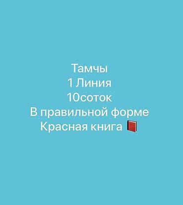 Земельные участки: 10 соток, Красная книга — 1