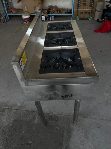 цветы в горшках бишкек цена: Описание Газовая плита производственная 3 конфорочная - для баров — 3