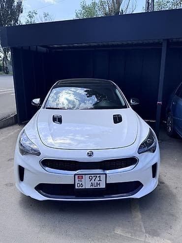 Kia Stinger: 2019 г., 2 л, Бензин, Лифтбек