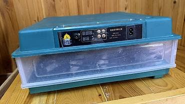 Инкубатор для яиц, автоматический Производство Китай - Электронный