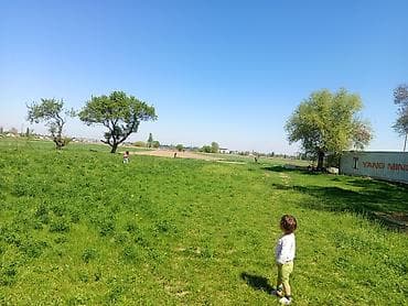 село чат куль: 10 соток, Для сельского хозяйства — 4