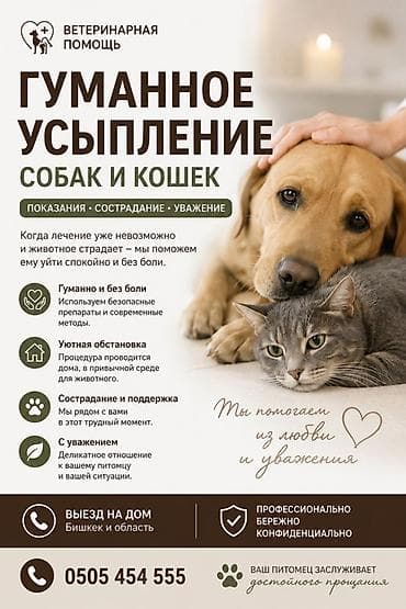 🐾 Гуманное усыпление собак и кошек Если ваш питомец тяжело болен