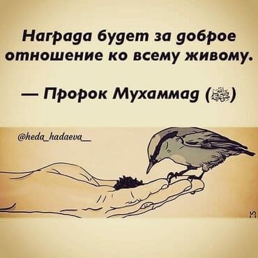 штаны для дома: Гладильщик — 1