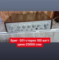 акустические системы atlanfa с пультом ду: Б/у, Домашний, 50 Вт, Класс: AB, Каналов: 4 — 29