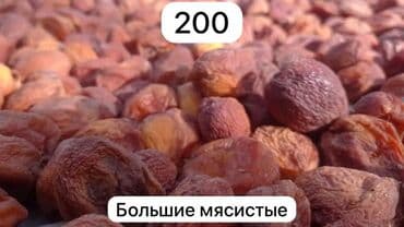 рулон пакетов цена: Лейлек кандек оругу. Оптом и в розницу. Г. Бишкек. Рабочий городок — 8