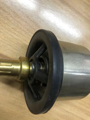 экономичные газовые котлы цены: Термостаты ( термостат) на грузовое авто даф, Вольво, ман, скания — 3