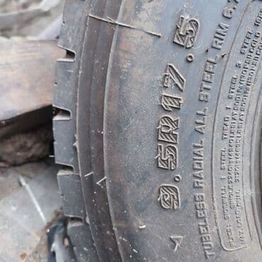 купить шины r 17: Новая Резина 1 шт размер 9.5 на 17.5 — 3