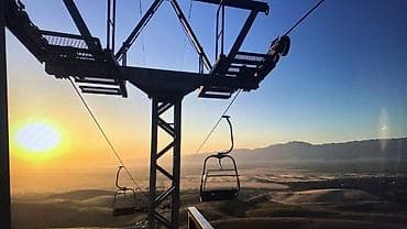 ысык куле: 4 соток, Бизнес үчүн, Кызыл китеп — 1