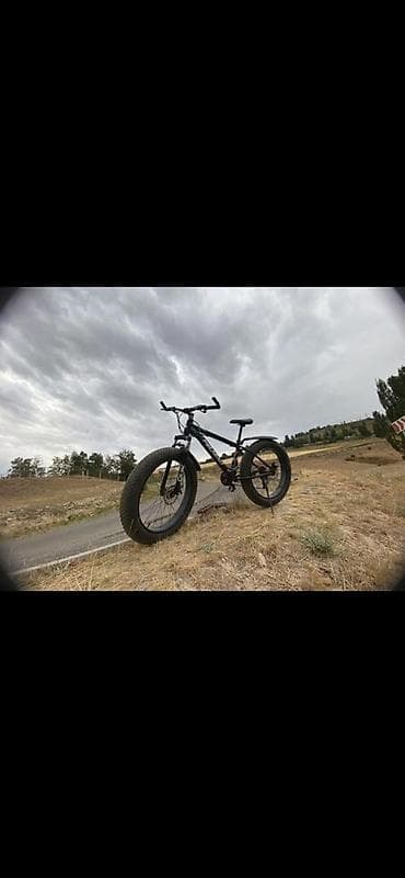 CD, DVD диски: Горный велосипед, Сталь — 1