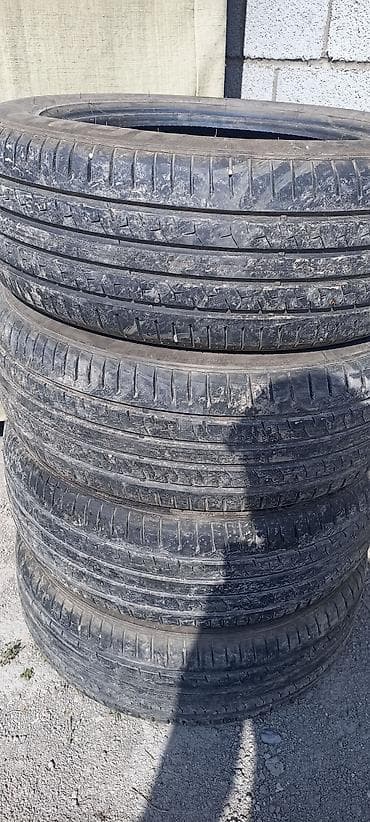 r17 22545: Летние шины 215/55 ZR17 98W (Extra Load) - Размер: 215/55 ZR17 - — 3