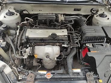 хюндай тибурон: Hyundai Tiburon: 2008 г., 1.6 л, Механика, Бензин, Купе — 3