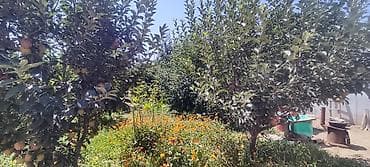 проекты дом: Дом (частный сектор), Кара-Ой (Долинка), 3 места — 7