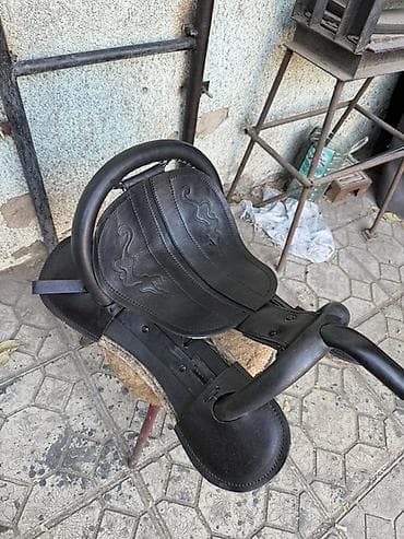 брама гигант: Продаю | Жеребец | Кара Жорго | Конный спорт — 7