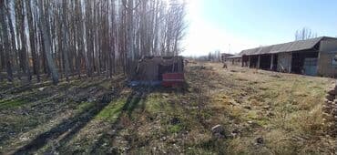 дом в красная речка: 65 соток, Бизнес үчүн, Кызыл китеп — 4