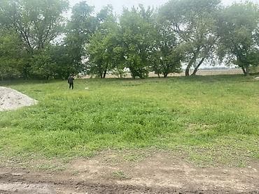 5 соток, Курулуш, Кызыл китеп, Сатып алуу-сатуу келишими — 4