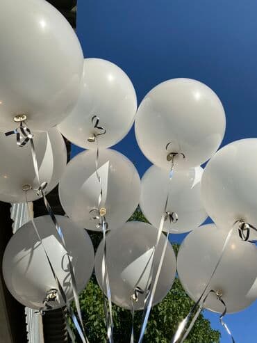 букетик: Организация мероприятий | Гелевые шары, Музыканты, Аниматоры — 3