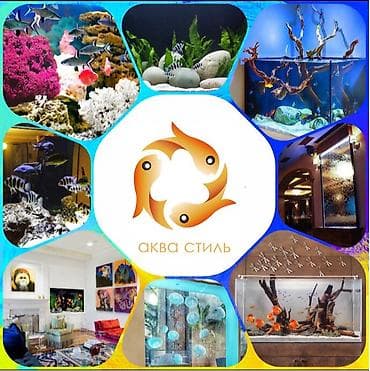 заводской аквариум: Мы создаем аквариумы и водопады по индивидуальному проекту - — 1