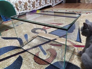 аквариумная рыбка: Аквариум 50 литров с крышкой. 
Новый — 2