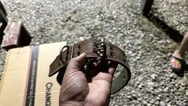 собака доберман сколько стоит: Прочный ошейник для собаки из плотного материала с металлической — 2