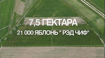 круглый: Питомник растений, 750 соток, Действующий — 1