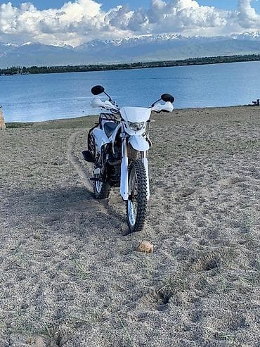 фикс цунами эсемес 100: Эндуро/двухподвесный мотоцикл класса dual-sport, белый цвет. Основные — 2