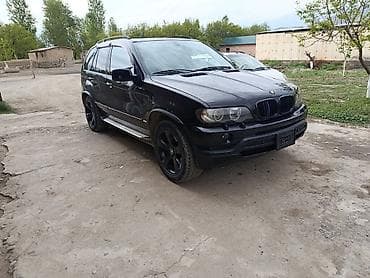 BMW: BMW X5: 2002 г., 4.6 л, Автомат, Газ, Жол тандабас — 6