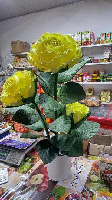 роза в горшке купить: Комнатные розы — 10