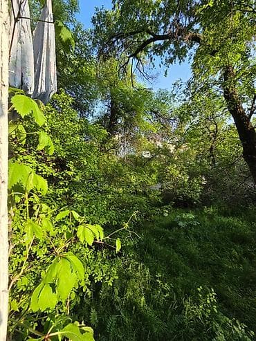 парк ататюрк: 1 комната, 30 м², 104 серия, 1 этаж, Старый ремонт — 8