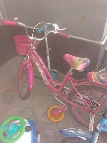 Детский велосипед, 2-колесный, 4 - 6 лет, Для девочки