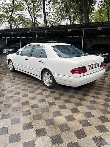 sprinter rex: Mercedes-Benz E-Class: 1997 г., 4.3 л, Автомат, Бензин, Седан — 3