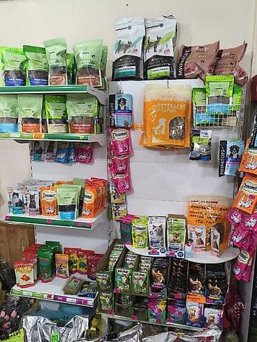 Зоотовары: Зоотовары для собак и кошек — большой выбор в одном месте Оформляем — 3