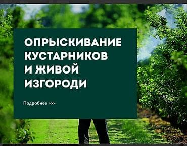 бойлер 80 литров цена: Уборка территории, Уход за деревьями — 3