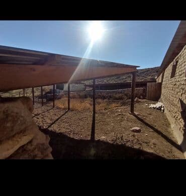 меняю на скот: Продается действующий бизнес кашар вместе с садом для разведения скота — 14