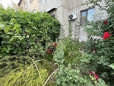 уборка дома ош: Аймактарды тазалайбыз бак кыйып Жана отун жарым Жер казабыз — 10