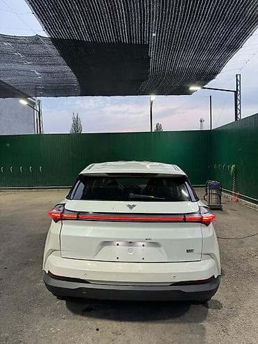 нетта л: BYD : 2022 г., 0.1 л, Автомат, Электромобиль, Кроссовер — 3