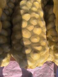 груша кресло: Картошка Ривьера, Оптом — 4