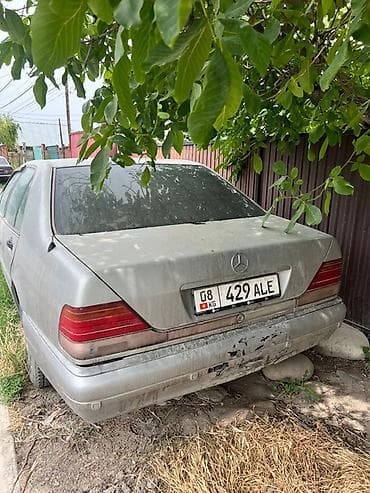 Mercedes-Benz S-Class: 1995 г., 3.2 л, Автомат, Бензин, Седан
