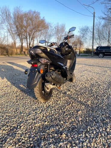 скутеры мото: Макси-скутер 150 куб. см, Бензин, Б/у — 4