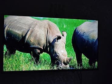 tcl: Smart TV TCL оригинал, диагональ 42 Андроид TV качество изображения — 6