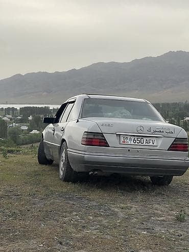 дерево на мерс 124: Mercedes-Benz W124: 1995 г., 3.2 л, Автомат, Бензин, Седан — 2