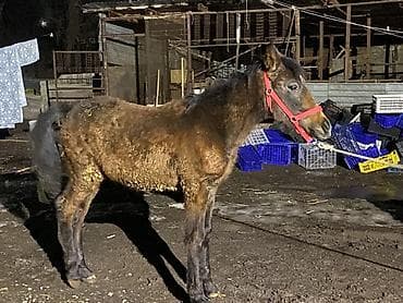 Аквариумдар: Сатам | Тай | Жумушка — 3