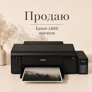 Epson L800 — фотопринтер с фирменной системой непрерывной подачи