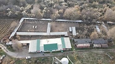 маёвка: 600 соток Для сельского хозяйства, Водопровод — 4