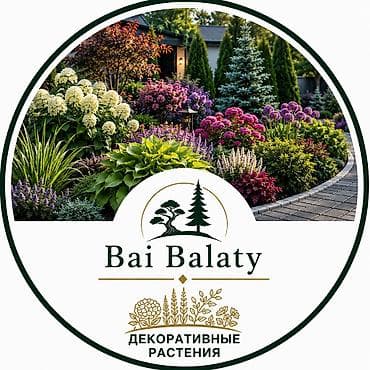 ландшафт: Ландшафтные услуги Bai Balaty - Ландшафтный дизайн: разработка — 7